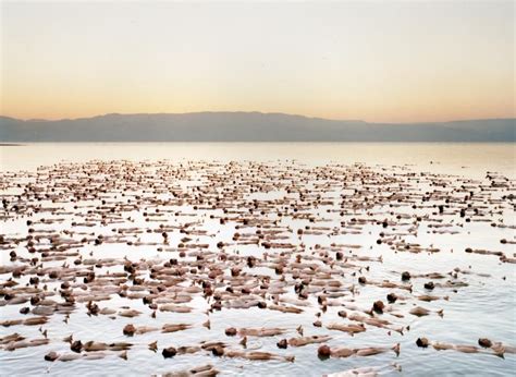 pictures of nude models|The Naked World of Spencer Tunick